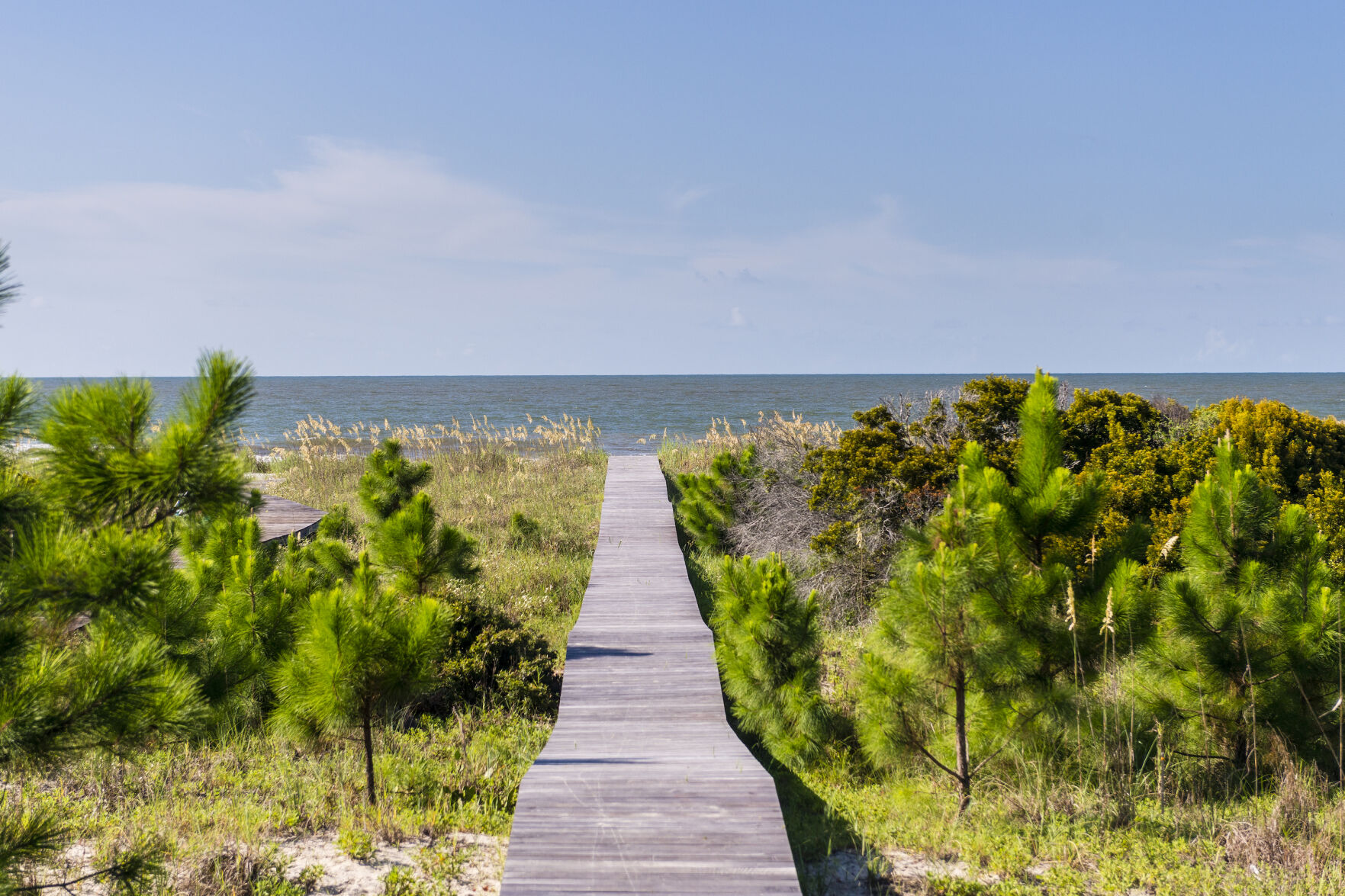 101 Flyway Boardwalk
